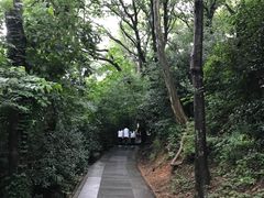 -上海佘山国家森林公园西佘山园