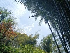 -汇龙潭