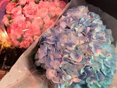-双季花艺园艺市场(浦东店)