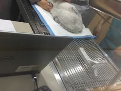 -嘉美宠物医院