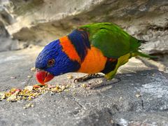 -杭州野生动物世界