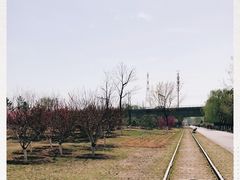 -永定河休闲森林公园