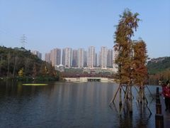 -重庆彩云湖湿地公园