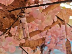 -东方豪景花园酒店·怡景旋转餐厅