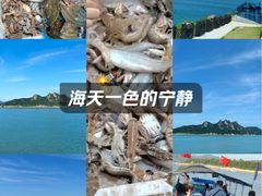 -大京沙滩