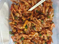 -黄龙溪古镇