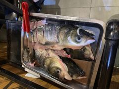 -蛙鱼道美蛙鱼自助火锅(新耍都店)