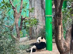 -灵玲国际马戏城