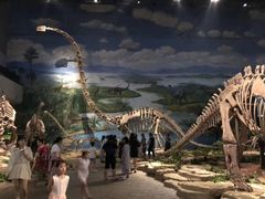 -自贡恐龙博物馆