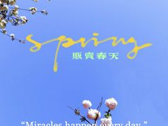 -高东镇樱花园