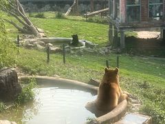-无锡动物园·太湖欢乐园