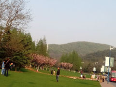 android_upload_pic-童牛岭风景区