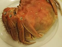 -王宝和酒家(黄浦店)