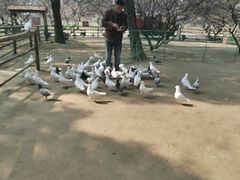 -秀丽东方