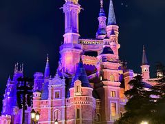 -上海迪士尼度假区