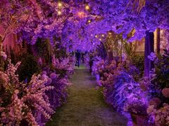 -The Grounds of Alexandria