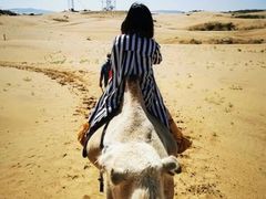 -银肯塔拉沙漠生态旅游景区