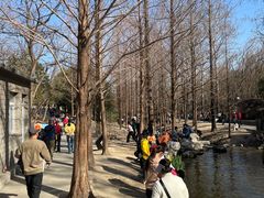 -白水寺森林公园