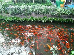 -魏家凉皮(翟营南大街店)