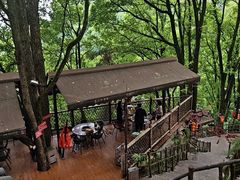 -巴倒烫陆派火锅山庄(南山总店)