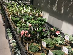 -鹿岛会员店 (龙湖三千集天街店)