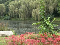 -西安浐灞国家湿地公园