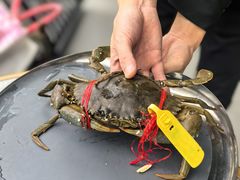 -Ministry of Crab•MOC(交子大道店)