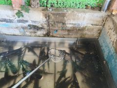 -姥家大锅台水库渔家