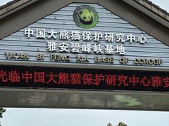 -中国大熊猫保护研究中心雅安碧峰峡基地