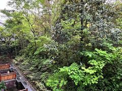 -天目湖御水温泉·度假酒店