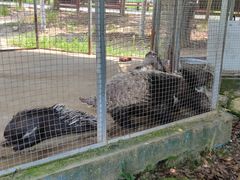 -武汉紫薇都市田园