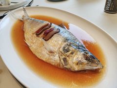 酒蒸鲥鱼-蝶园·装修中(BFC外滩金融中心店)