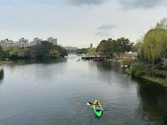 -新江湾城公园