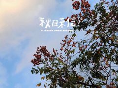 -松山湖南湖湾露营营地