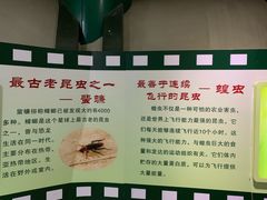 -上海昆虫博物馆