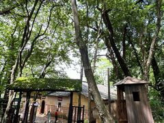 -上饶集中营李村叶挺将军囚室