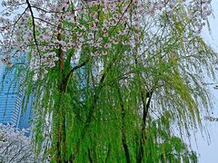 景点-西北湖绿化广场
