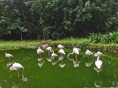 -广州动物园