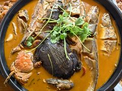 -溱湖国家湿地公园