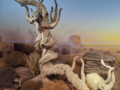 -陕西自然博物馆