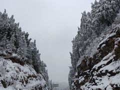 -武陵山森林公园