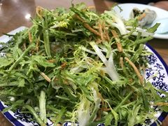 苦菊拌撒子-春水锅贴·传统鲁菜(大明湖店)