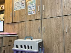-半岛宠物医院24小时·内窥镜·牙科·碎石中心(府城大道店)
