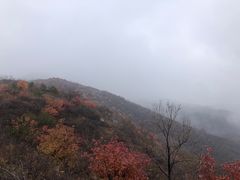 -阳台山自然风景区