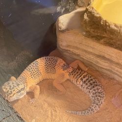 -Zoolung Zoolung动物主题公园(海信广场店)