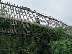 -福道