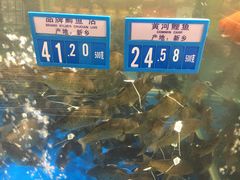 -麦德龙(郑东店)