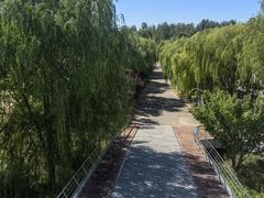-泰山天颐湖旅游度假区