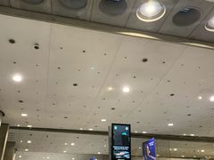 -戴高乐机场火车站