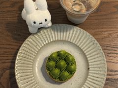 -猫里有甜